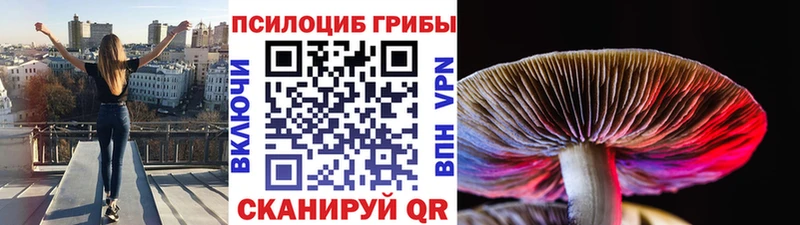 Галлюциногенные грибы мухоморы  Беломорск 